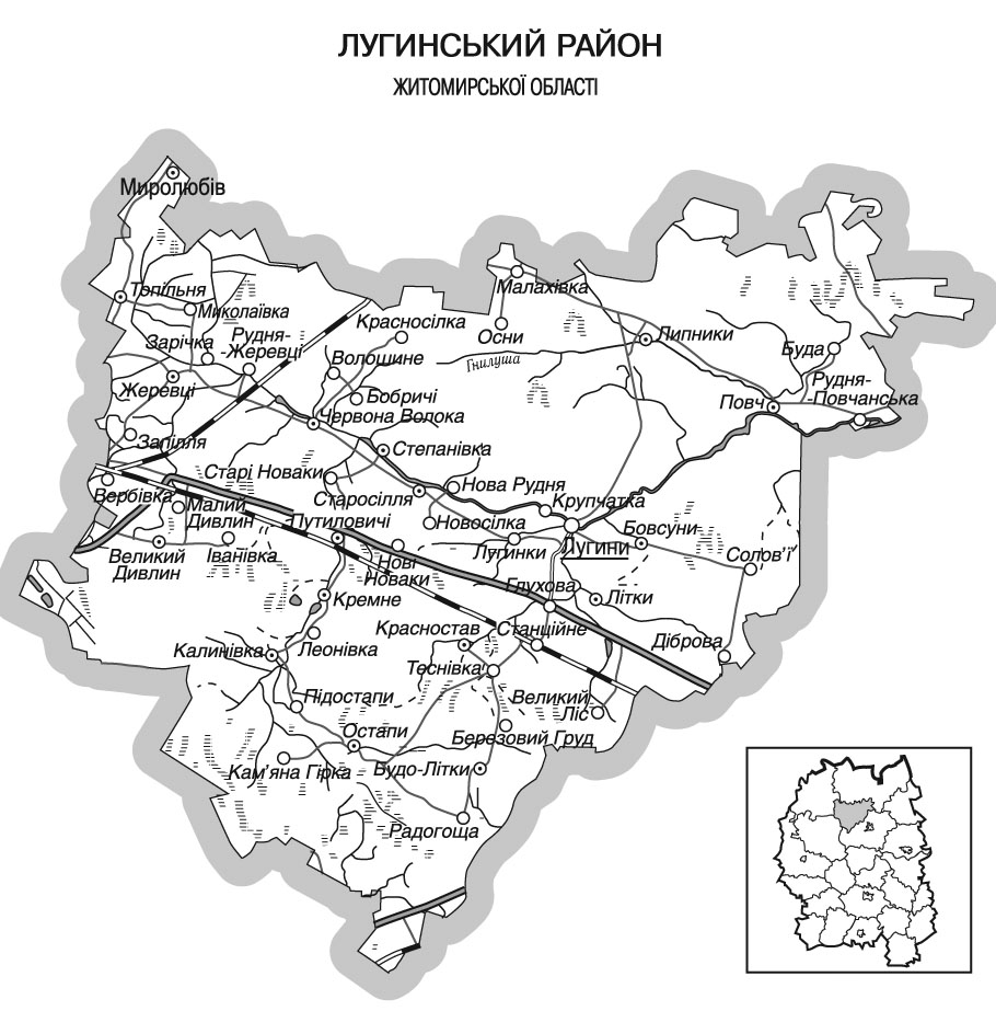 Лугинський район